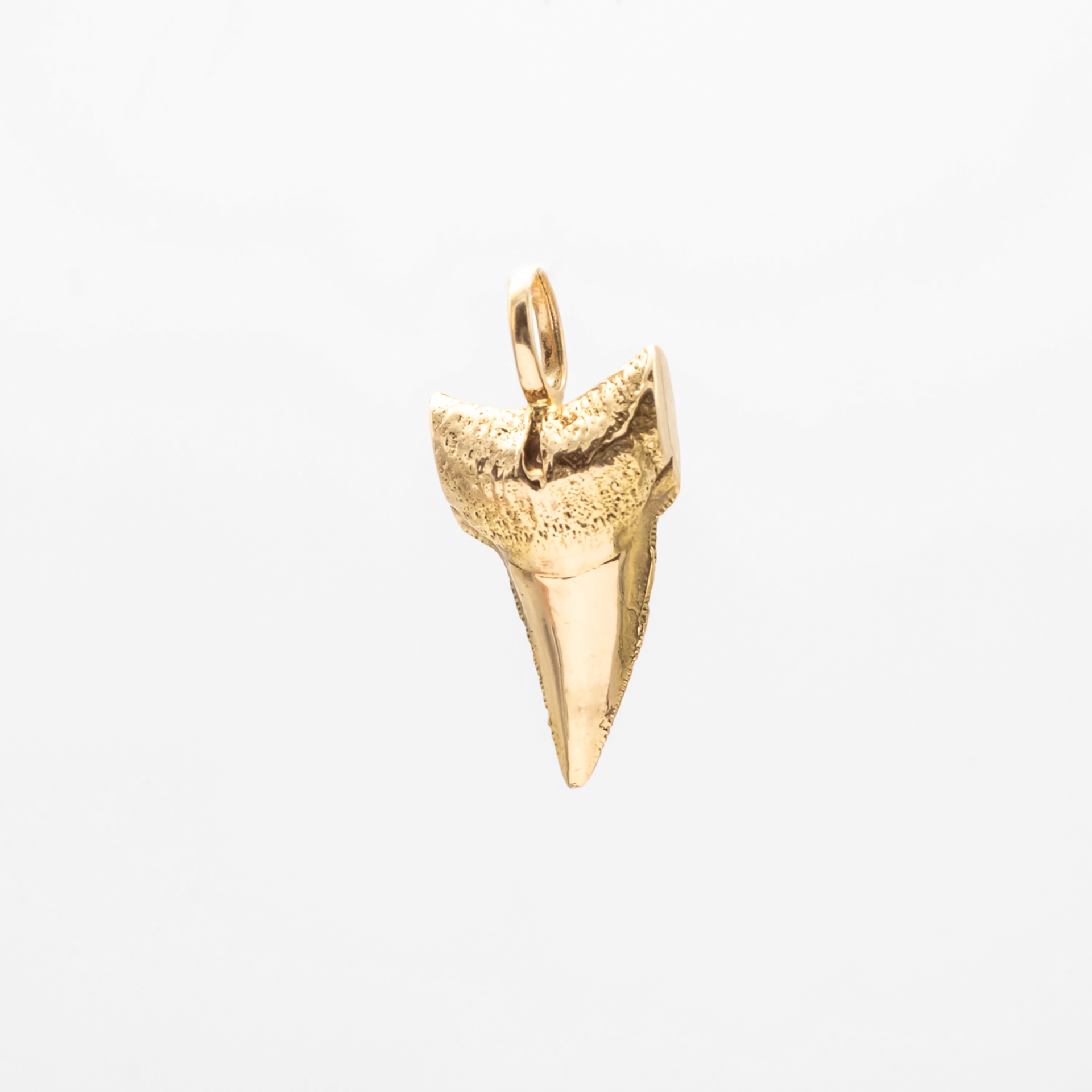 Shark tooth